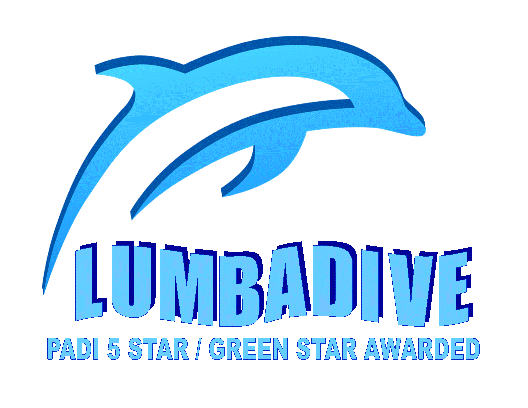LUMBADIVE PADI 5 STAR